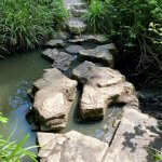 stepping stones over the river