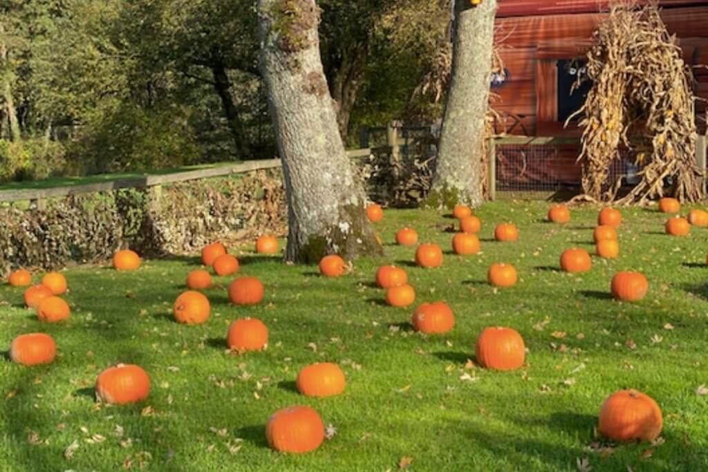 33 Halloween Events in Hampshire That Are Perfect For All Ages Things