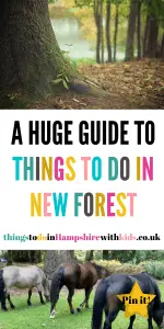 Looking for things to do in New Forest? We have covered everything from inside things to do to outside walks and leisure activities by Laura at Things To Do In Hampshire With Kids