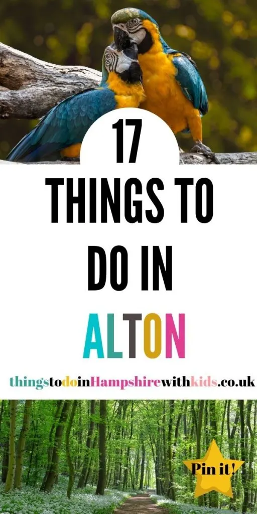 Here are 17 things to do in Alton, Hampshire that the whole family can do together. We've included everything from museums to walks and days out by Laura at Things To Do In Hampshire With Kids