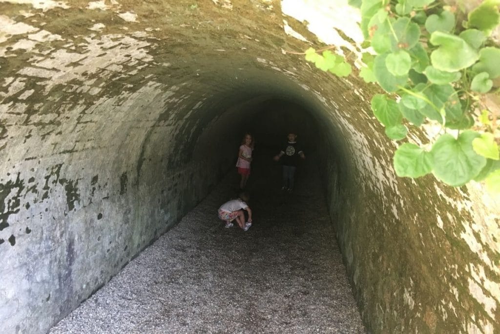 Gardens and tunnels in Paultons Park