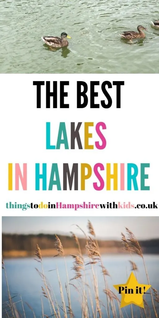 These are the best lakes in Hampshire that are family-friendly and fun to visit all year around whatever the weather by Laura at Things To Do In Hampshire With Kids