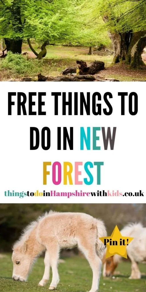 This is a huge list of free things to do in the New Forest. We've included everything from museums and family walks by Laura at Things To Do In Hampshire With Kids