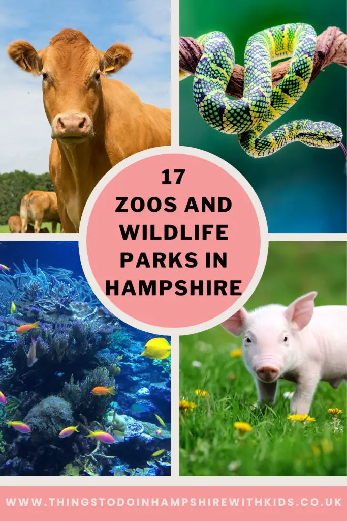 These are the best zoos and wildlife parks in Hampshire. We've included everything from farms, theme parks and zoos by Laura at Things to do in Hampshire with kids.