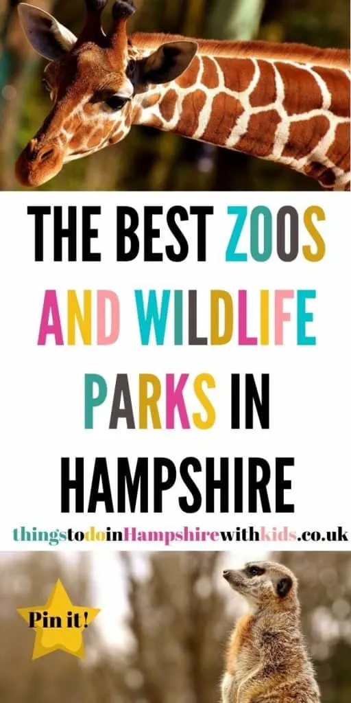 These are the best zoos and wildlife parks in Hampshire. We've included everything from farms, theme parks and zoos by Laura at ThingsToDoInHampshireWithKids.co.uk