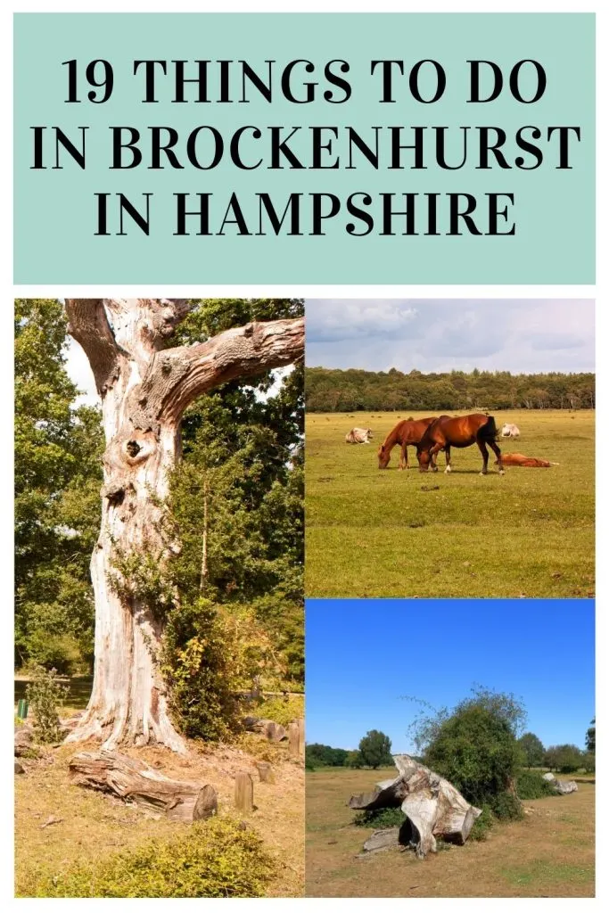 These are the best things to do in Brockenhurst for the whole family. We have included everything from country parks to museums by Laura at Things to do in Hampshire with kids