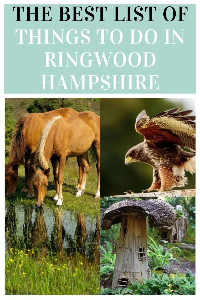 This is the biggest list of things to do in Ringwood Hampshire with kids. We've included everything from days out ideas to walks by Laura at Things to do in Hampshire with kids