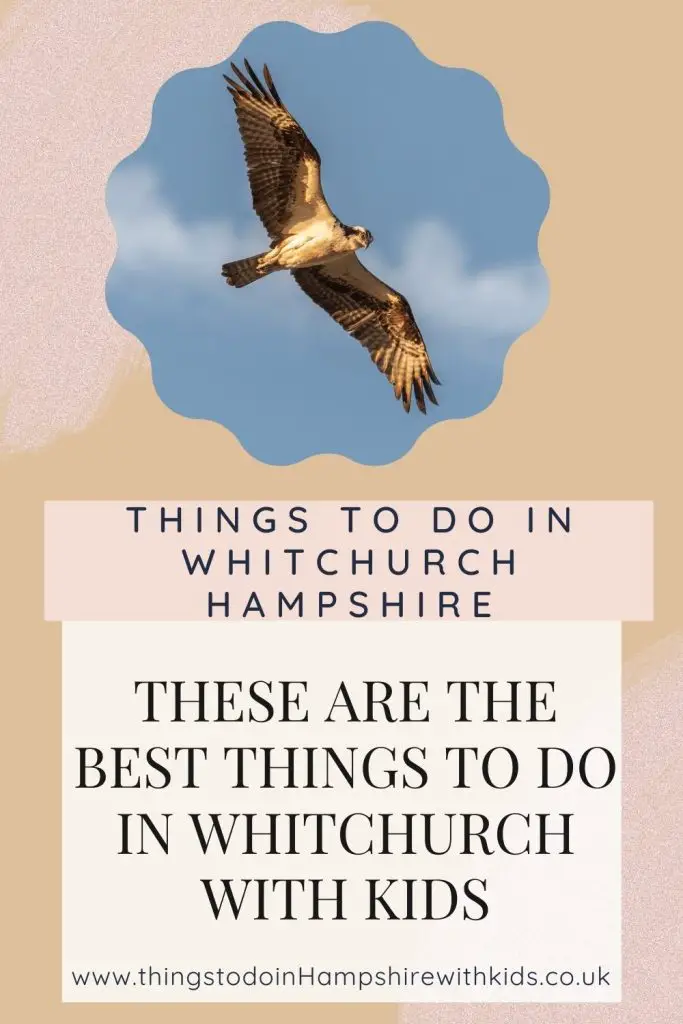 There is so much to do in Whitchurch in Hampshire. It doesn't matter if you have younger or older kids, Whitchurch will have something for you by Laura at Things to do in Hampshire with kids