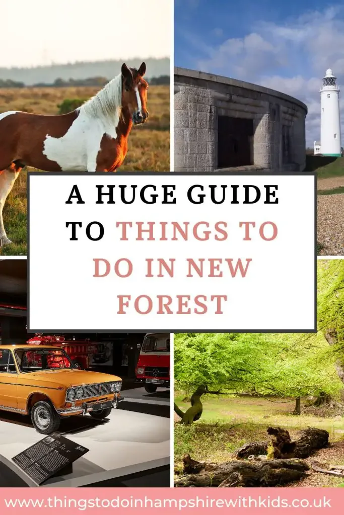 Looking for things to do in New Forest? We have covered everything from inside things to do to outside walks and leisure activities by Laura at Things to do in Hampshire with kids
